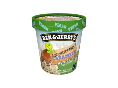 Ben &amp; Jerry&#039;s  Non Dairy Coconutterly Caramel&#039;d 416g 465 ml
